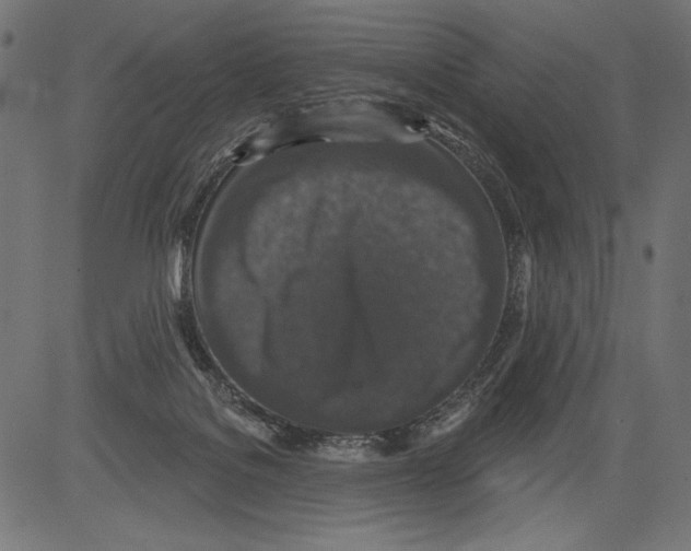 X0000081360076200702020151