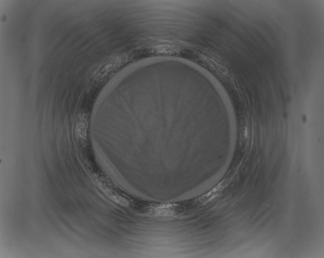 X0000081360078200702020151