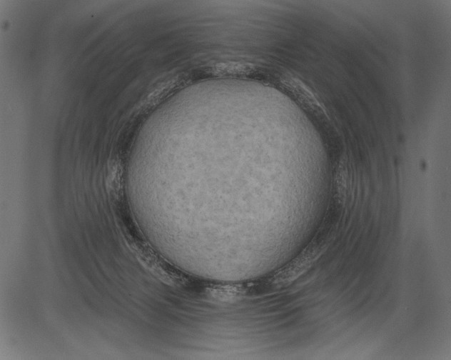 X0000081360079200702020151