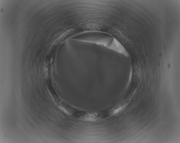 X0000081360080200702020151