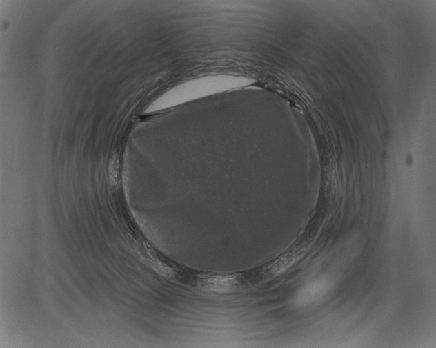 X0000081360081200702020151