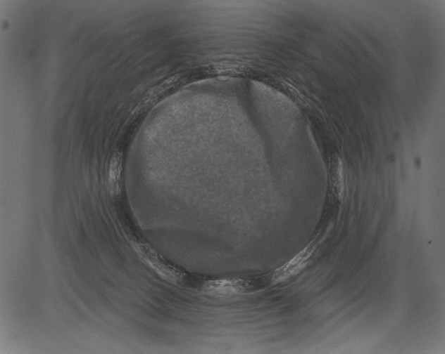 X0000081360082200702020151