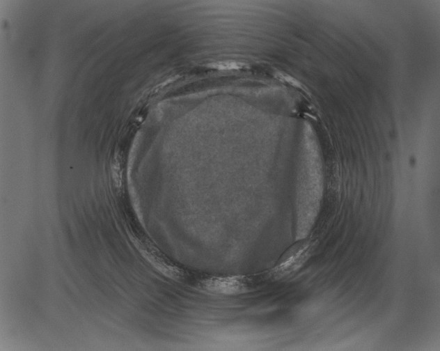 X0000081360086200702020151