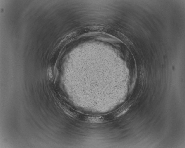 X0000081360089200702020151