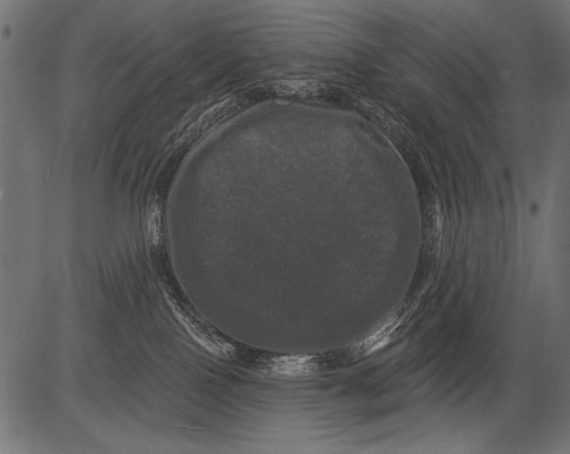 X0000081360090200702020151