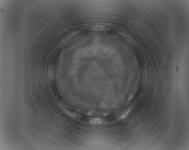 X0000081360091200702020151