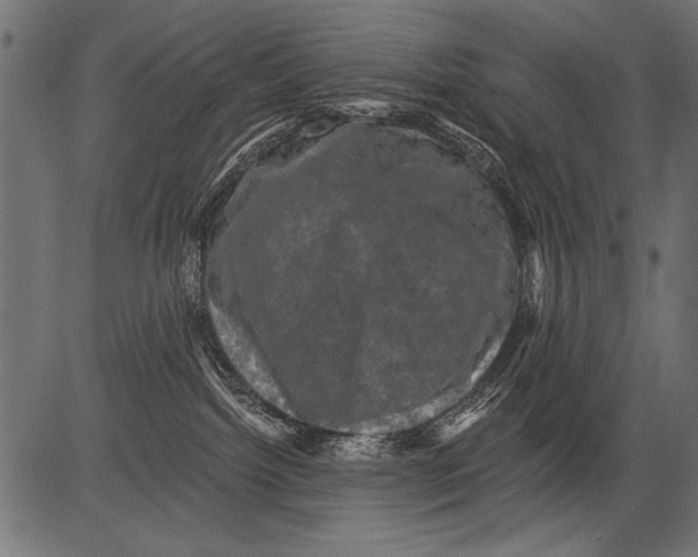 X0000081360092200702020151