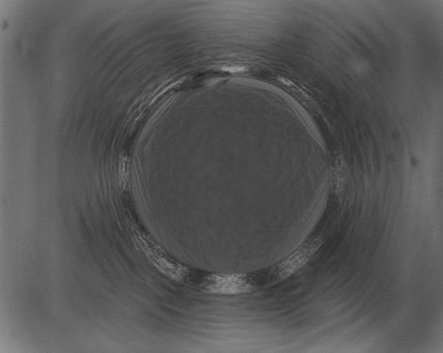 X0000081360093200702020151