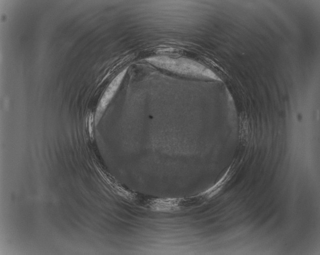 X0000081360094200702020151