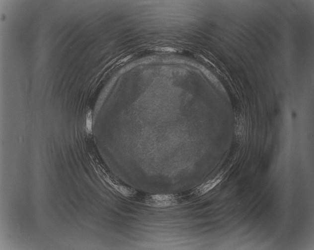 X0000081360095200702020151