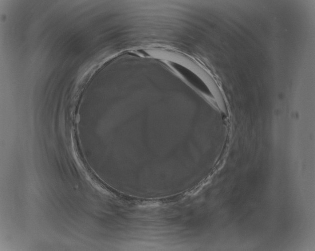 X0000081360097200702020150