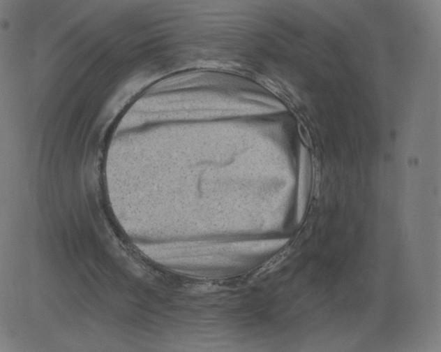 X0000081360098200702020150