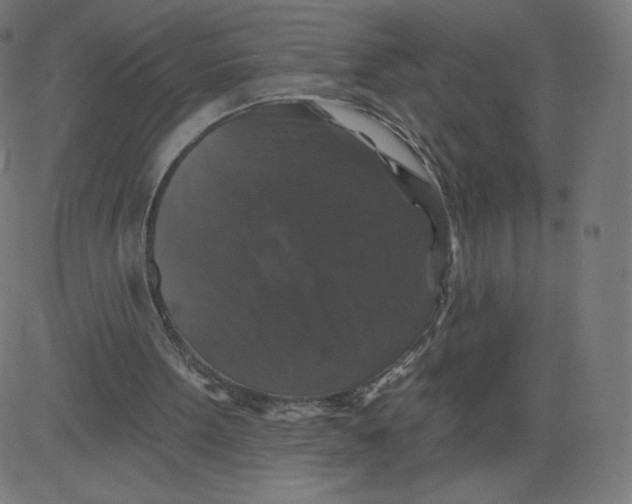 X0000081360099200702020150