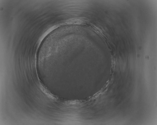 X0000081360100200702020150