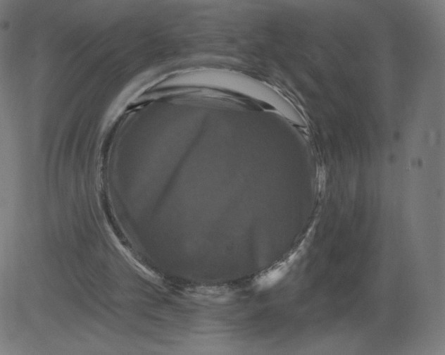 X0000081360101200702020150