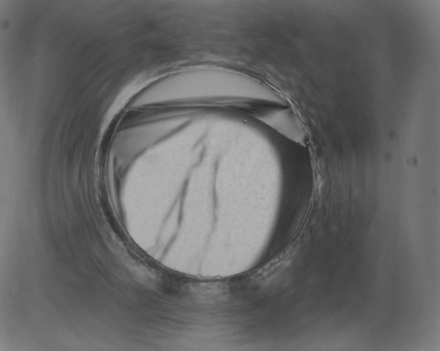 X0000081360102200702020150