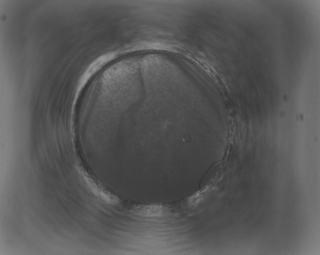 X0000081360104200702020150