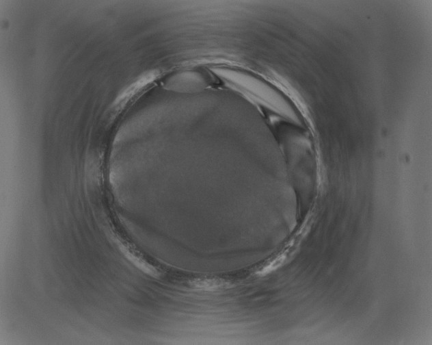 X0000081360105200702020150