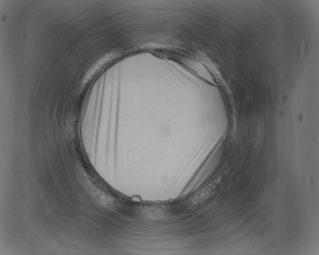 X0000081360106200702020150