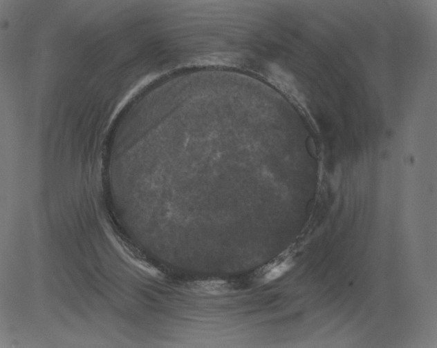 X0000081360108200702020150