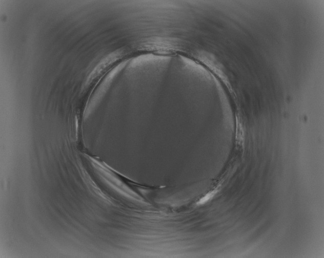 X0000081360109200702020150