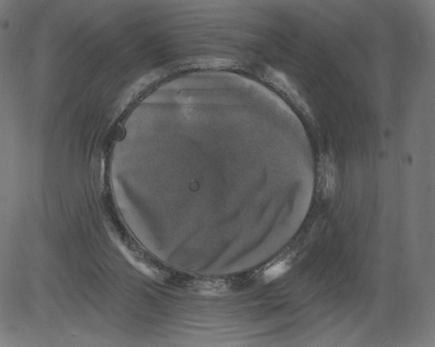 X0000081360110200702020150