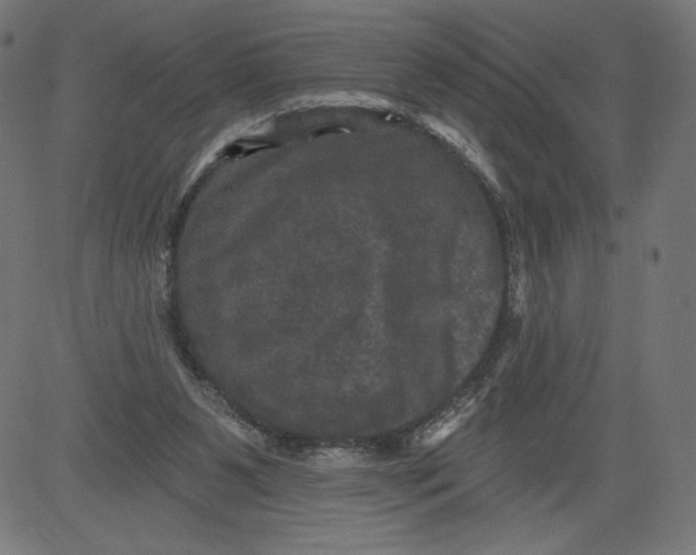 X0000081360111200702020150