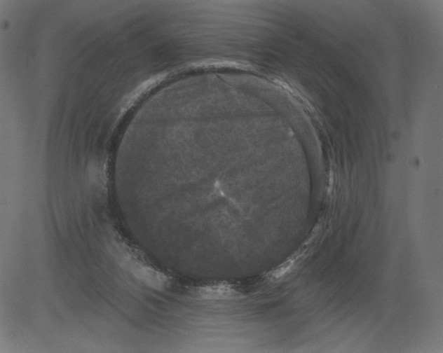 X0000081360112200702020150