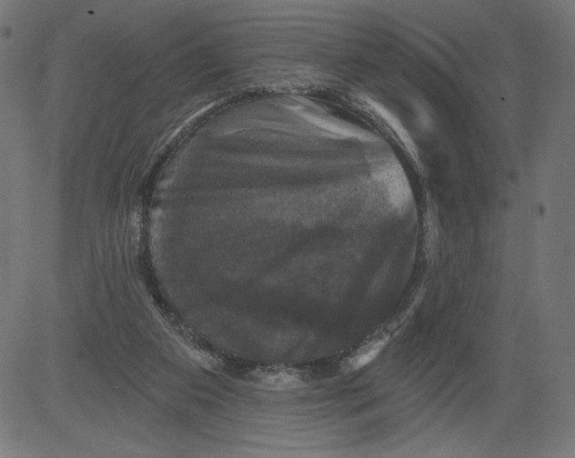 X0000081360113200702020150