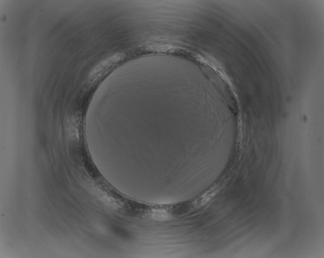 X0000081360114200702020150