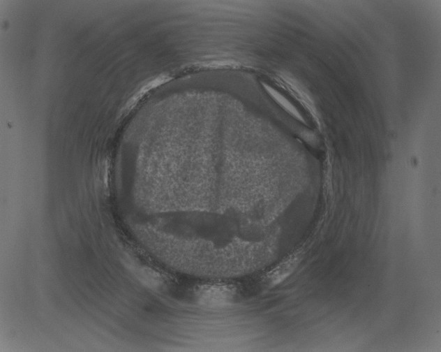 X0000081360115200702020150