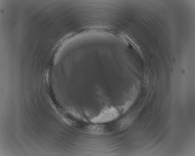 X0000081360117200702020150