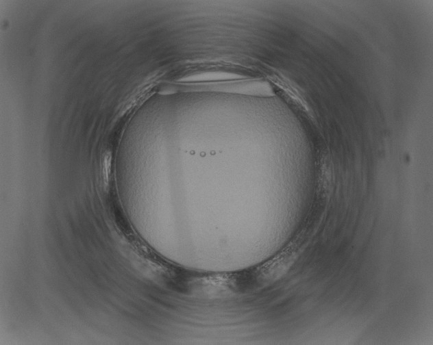 X0000081360118200702020150