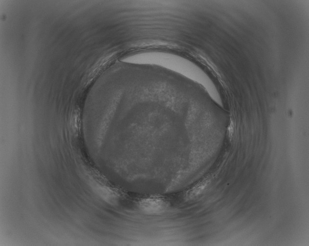 X0000081360119200702020150