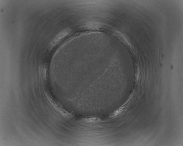 X0000081360120200702020150