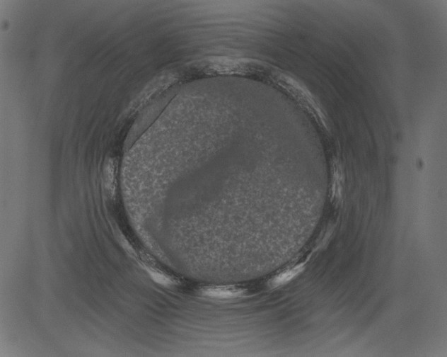 X0000081360121200702020150