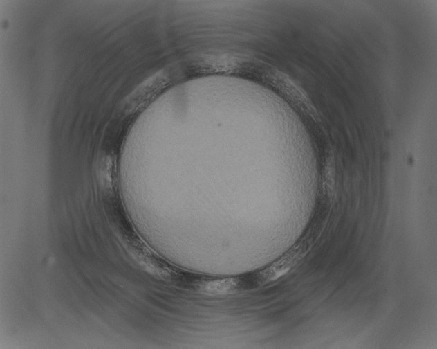 X0000081360122200702020150