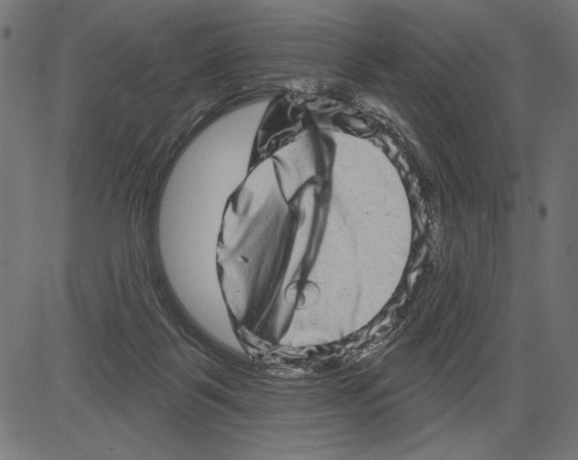 X0000081360123200702020150