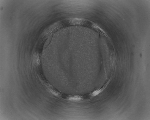 X0000081360125200702020150