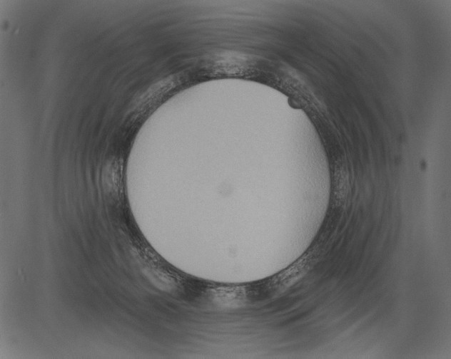 X0000081360126200702020150