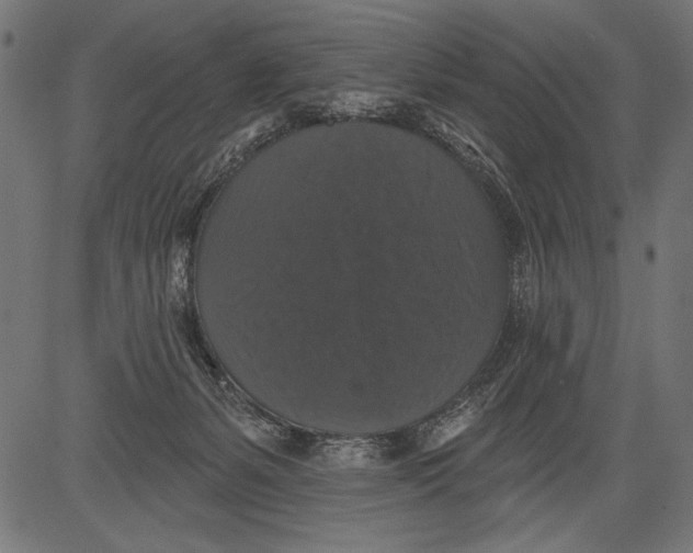 X0000081360127200702020150