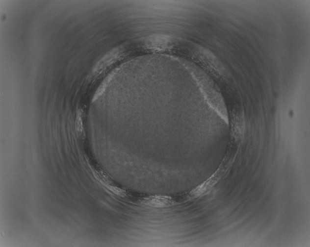 X0000081360128200702020150