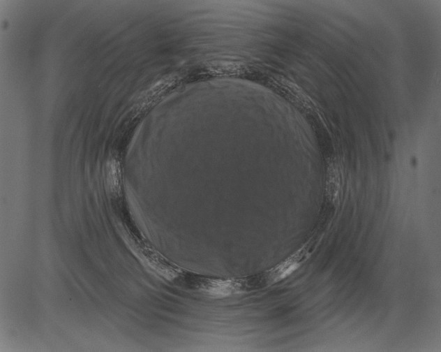 X0000081360130200702020149