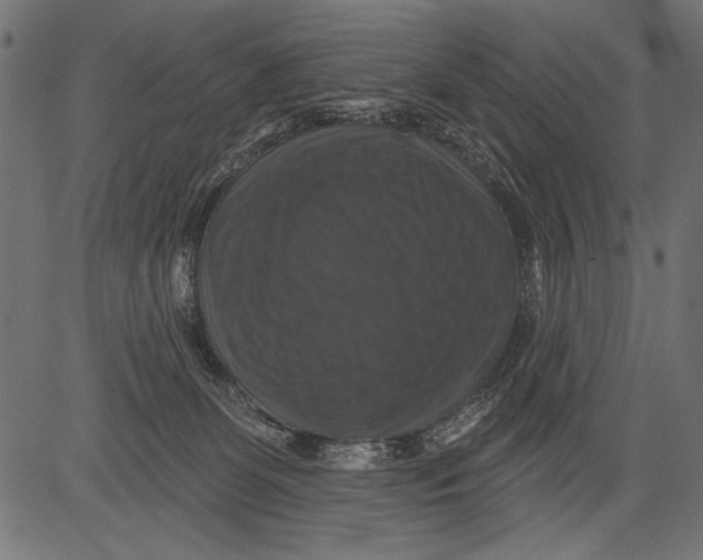 X0000081360131200702020149