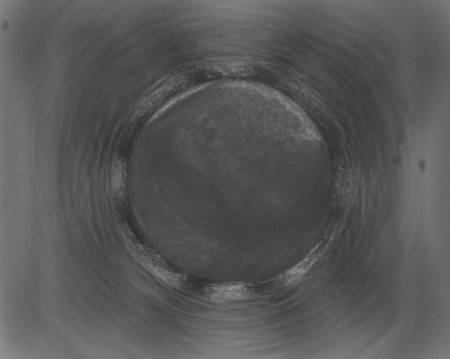 X0000081360132200702020149