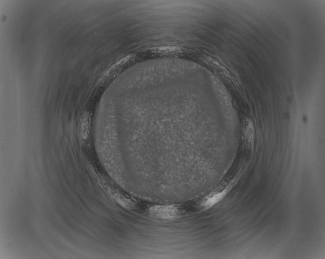 X0000081360133200702020149