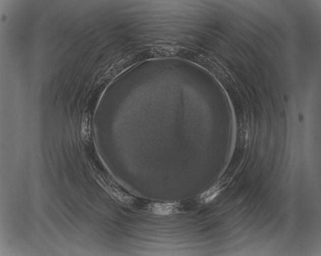 X0000081360134200702020149