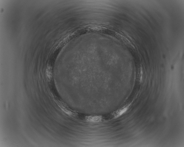 X0000081360135200702020149