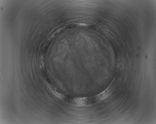 X0000081360136200702020149