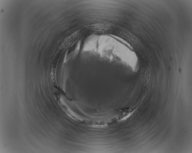 X0000081360137200702020149